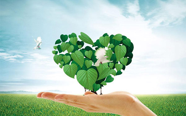 啤酒糟滾筒烘干機(jī)廠家哪家好 啤酒糟滾筒烘干機(jī)廠家哪家好